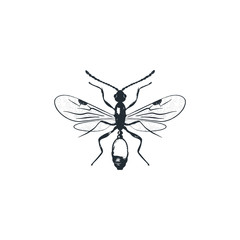 insect silhouette