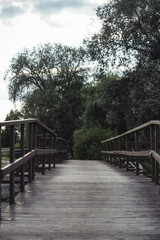 Moody Photo of the Wodden Bridge in a Park, Between Woods - Desaturated, Vintage Look