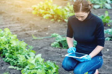 Woman specialist agronomist holding a tablet. Quality control of production on farms