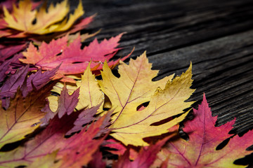 Autumn leaves on wooden background with copy spase