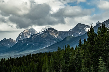 Icefields Parkway View 33