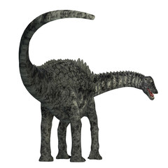 Ampelosaurus Dinosaur Tail - Ampelosaurus was a herbivorous sauropod dinosaur that lived in Europe during the Cretaceous Period. © Catmando