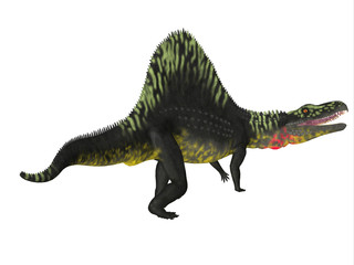 Arizonasaurus Dinosaur Tail - Arizonasaurus was a carnivorous theropod dinosaur that lived in Arizona during the Triassic Period.