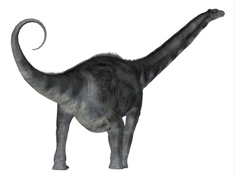 Argentinosaurus Dinosaur Tail - Argentinosaurus was a herbivorous sauropod dinosaur that lived in Argentina during the Cretaceous Period.