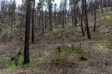 Obraz premium Indian Painted Rocks Area in Riverside State Park
