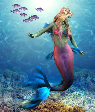 Coral Reef Mermaid - A school of Blue Rockfish swim along side of a beautiful mermaid as she glides along an ocean reef. 