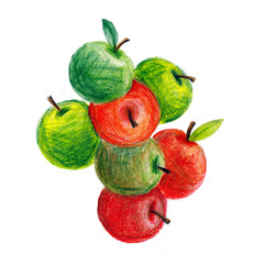 Apple, Green and Red Apples, Sketch Illustration on White background