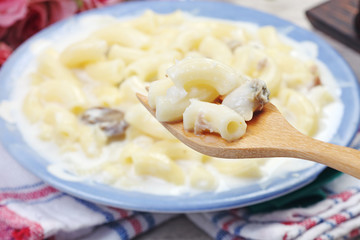 Delicious macaroni with mushroom, clam, cheese-flavor sauce on the plate     