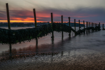 Seaweed covered breakwater on the beach at sunset.