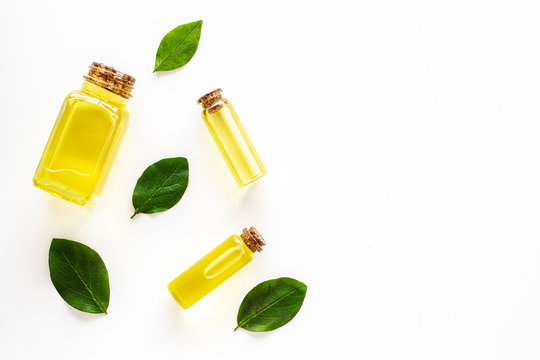 Tea Tree Essential Oil Near Tea Tree Leaves On White Background Top View Copy Space