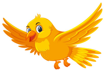 A cute yellow bird on white background