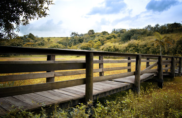 Obraz premium ponte