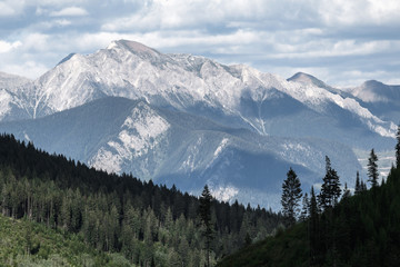 Obraz premium Canadian rocky mountains in summer