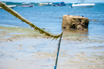 Fototapeta premium praia