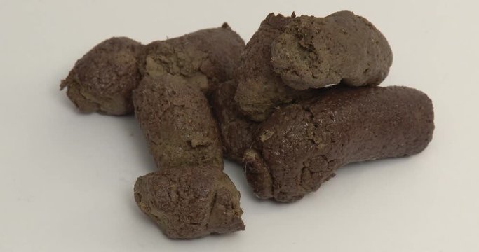 Pile Of Dog Poop - Dog Droppings