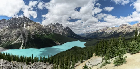 Papier peint photo  Panorama of Peyto Lake and dramatic landscape along the Icefields Parkway, Canada  © Tabor Chichakly