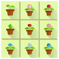 flower in a pot, house plant in the pot, spring flowers, various flat plants, set of different flowerpots with a long shadow, greenhouse, nature icons, flat design, vector graphics to design