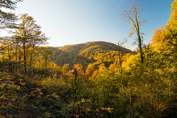Colourful autumn landscape view