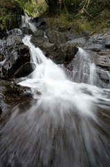 Sipet Chan Waterfall - Khao Sok N.P.