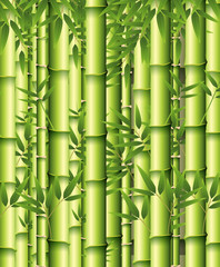 Fototapeta na wymiar A green bamboo background