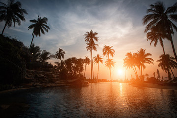 Silhouettes of palm trees on a tropical beach at dusk.