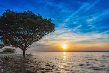 Naklejka na ściany i meble Sunset with tree reflection in a lake.