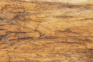 Fototapeta na wymiar old wooden texture