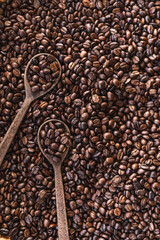 Roasted coffee Arabica coffee quality And a wooden spoon