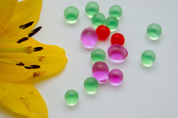 leaves from a lily, a beautiful yellow lily, a flower lies on a table, in the summer a flower called lily