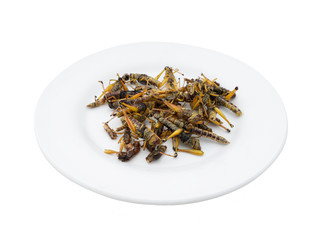 Fried insects - Grasshopper insect after fried on white plate isolated on white background, Select focus, Closeup image.