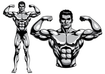 Male Bodybuilder Full Body_Vector Illustration EPS 10