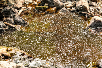 water rushing down from the waterfall into a pool in the forest