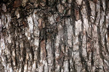 texture