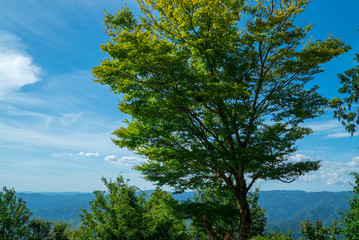 比叡山(Mount Hiei)