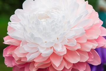 Close up image of big colorful paper flower used as a decorations in interiors