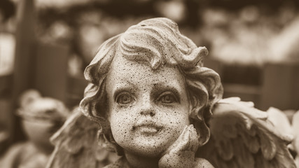 Close up of Angel Baby Face in Sepia Tone, Cherub Face Shallow Depth of Field horizontal photography