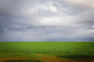 Fototapeta na wymiar Australian countryside landscape sunny green fields farm land with clouds