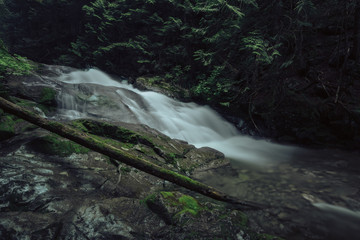 Fototapeta premium Kennedy Stream