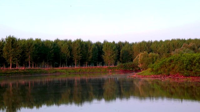 Early Sunday fishing on Tamis river