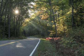 Obraz premium Autumn Sunbeams