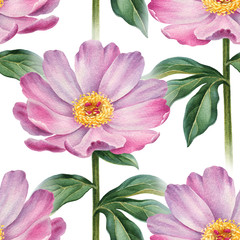 Watercolor peony flowers illustration. Seamless pattern