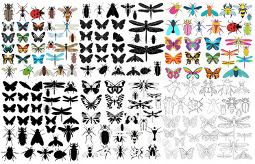 vector, isolated, insect, set, beetles, bee, ant, butterfly