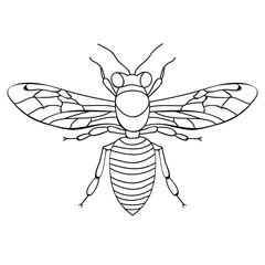 sketch insect bee