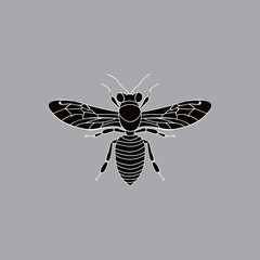 silhouette insect bee