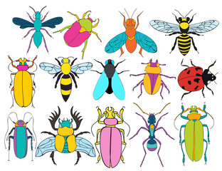 insects, beetles, butterflies, set, children, bright