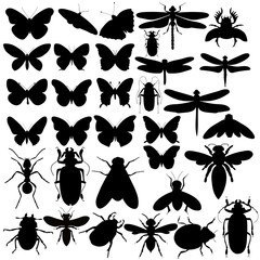  insects, beetles, butterflies, set of silhouettes