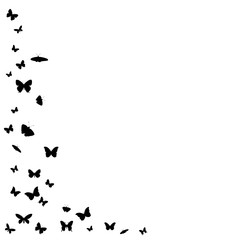  isolated, background with flying butterflies