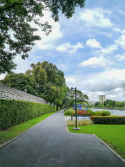Naklejka premium Park on summer