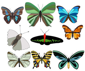 Obraz na płótnie Canvas isolated, set of beautiful butterflies