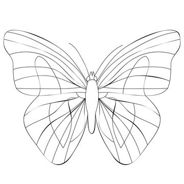 book coloring butterfly